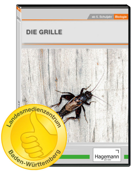 DVD-Lehrfilm Die Grille