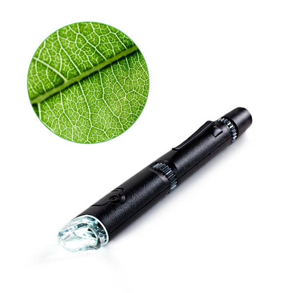 Mikroskopstift