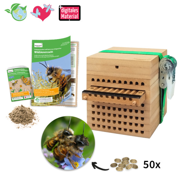 Hagemann Zuchtset Wildbienen, Gehörnte Mauerbiene (mit 50 Kokons)